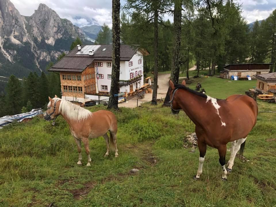 Rifugio Negritella Hotel Pozza di Fassa Kültér fotó